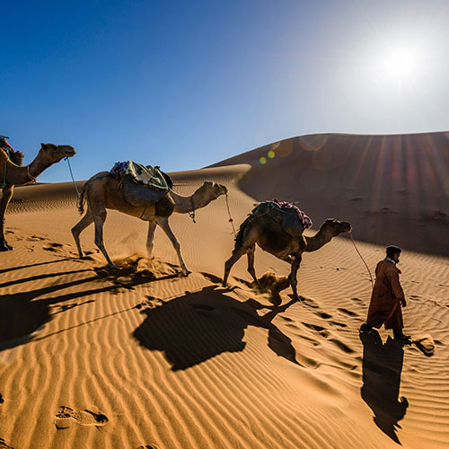 charlotte sarrat, coach en leadership à Nantes